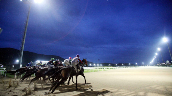 (사진제공=렛츠런파크 부경)