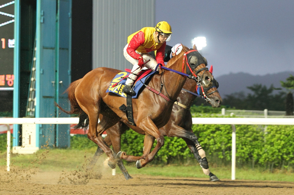 12일 렛츠런파크 부경에서 열린 제10회 국제신문배 대상경주에서 유현명 기수와 '뉴욕블루'가 1위로 결승선을 통과하고 있다. (사진제공=렛츠런파크 부경)