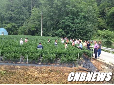 (사진제공=영월군청)