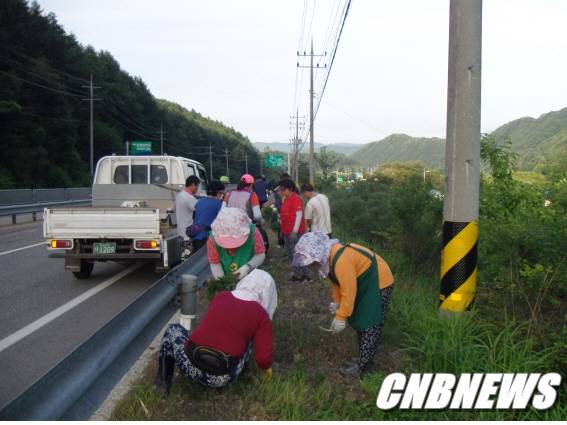 (사진제공=홍천군청)