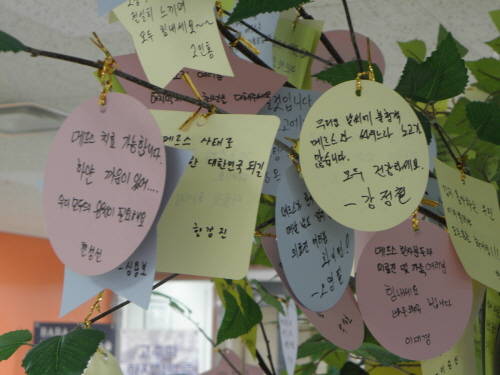 국립중앙의료원 로비에 전시된 응원 비타민 나무. (사진=이성호 기자)