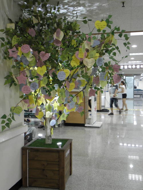 응원 비타민 나무.