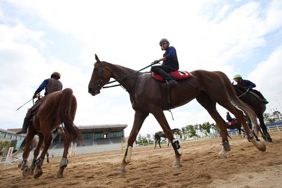말조련사(사진=한국마사회)