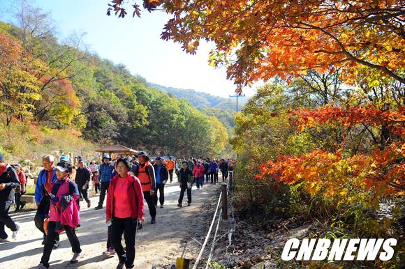 (사진제공=양구군청)