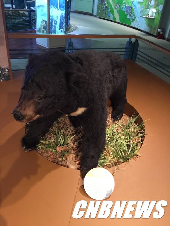 (사진제공=인제군청)