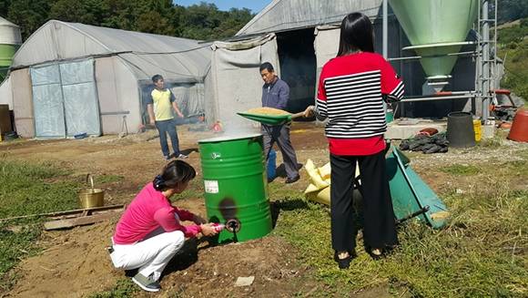 훈연방법에 위한 악취 저감(사진=안성시)