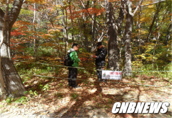 (사진제공=인제국유림관리소)