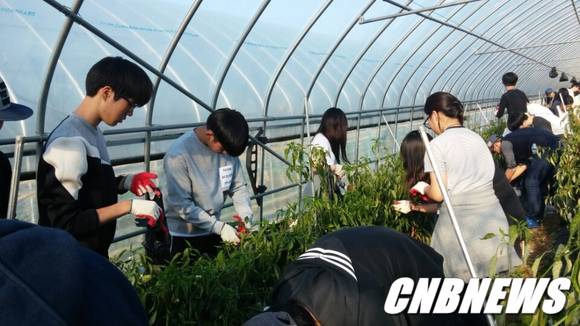 (사진제공=양구군청)