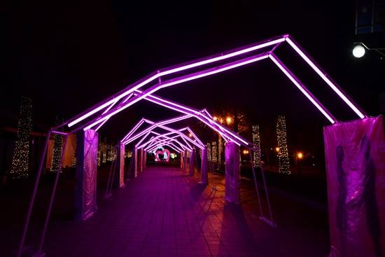 고양시 2015호수겨울꽃빛축제 개막