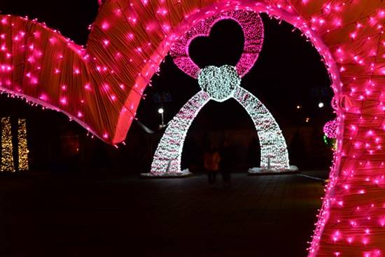 고양시 2015호수겨울꽃빛축제 개막