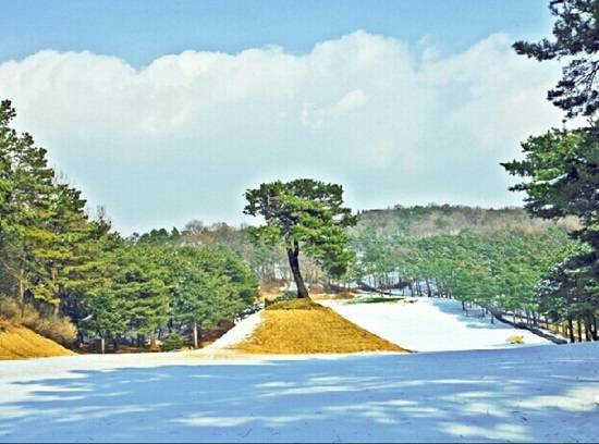 서울한영컨트리클럽 골프장 겨울 전경.