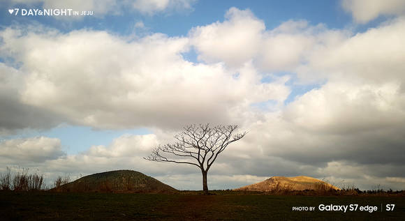 갤럭시 S7으로 촬영한 안태영 작가의 ‘하얀 솜사탕’. (사진제공=삼성전자)