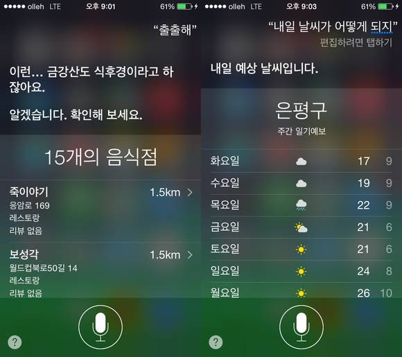 한국어로 간단한 명령을 실행시킨 모습. (사진=시리 앱 캡처)