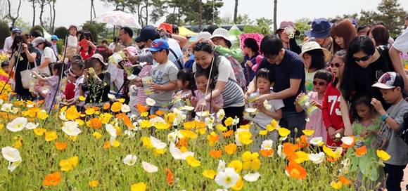 지난해 함평나비축제를 찾은 관광객들이 축제를 즐기고 있다.(사진=함평군)