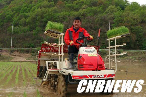 사진=인제군청 제공