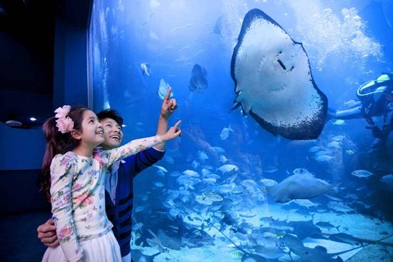 아쿠아플라넷 일산 메인수조(사진= 한화호텔앤드리조트)