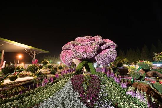 2016고양국제꽃박람회 야간개장 모습(사진= 고양시)