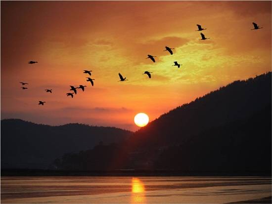 파주시 마장호수 전경(사진= 파주시)