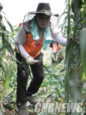 이삼선 한전산업개발 사장. (사진=이성호 기자)