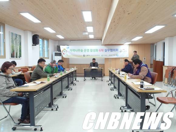 사진=인제국유림관리소 제공