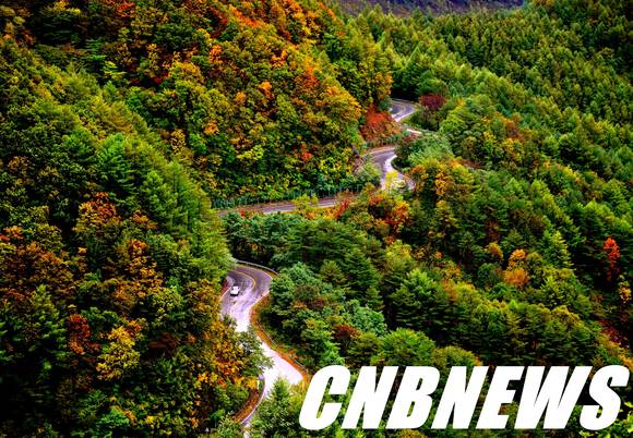 제5회 태백관광전국사진 공모전 금상 수상작 '함백산 가는길' ㅣ 사진=태백시 제공